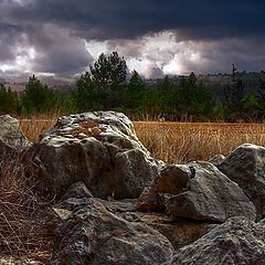 photo "После грозы"