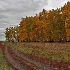 фото "Осенняя зарисовка"