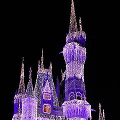 photo "cinderella's castle"