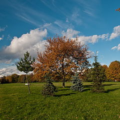 фото "В городском парке. Осень"