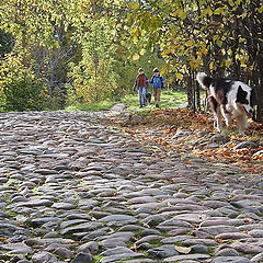 фото "Прогулка"