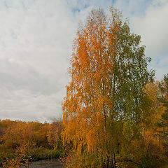 фото "Осень пришла"