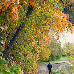 photo "leaving fall"