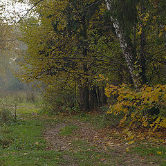 фото "Осень в парке."