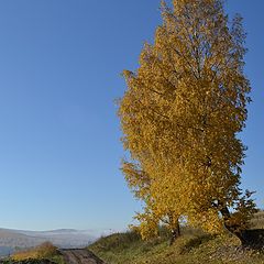 фото "У дороги."