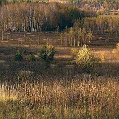 фото "Палитра осени."