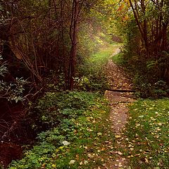 photo "Broken bridge"