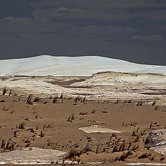 photo "White Desert"