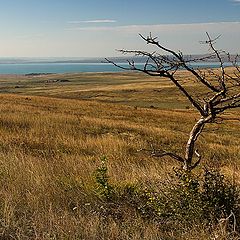 фото "Осень"