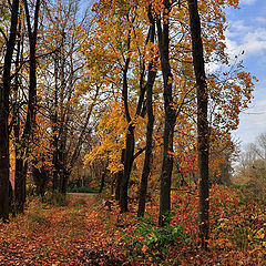 фото "Осенний"