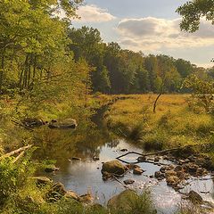 photo "Golden hour"