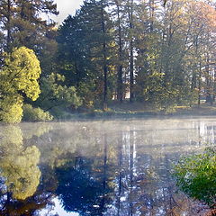 photo "Priutino"