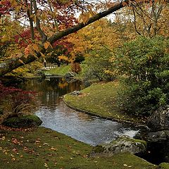 фото "Japanese garden"
