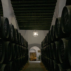 photo "In the old winery"