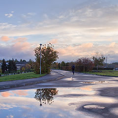 photo "morning after the rain"