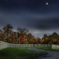 photo "***"