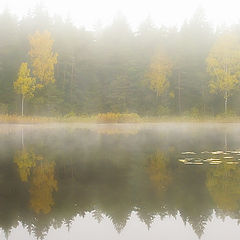 photo "Mist on the lake"