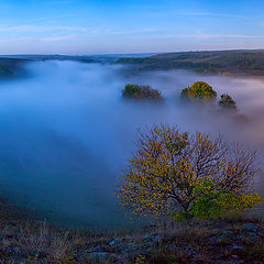 фото "Туманная долина"