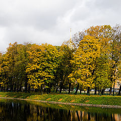 фото "Осень в Михайловскоом саду"