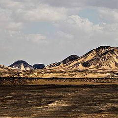 фото "BLACK DESERT"