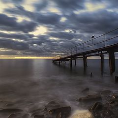 фото "How gull meets Dawn"