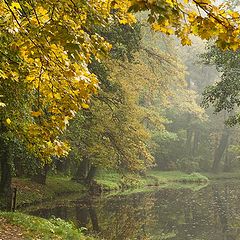 фото "Colors of Autumn"