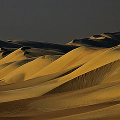 фото "Dunes"