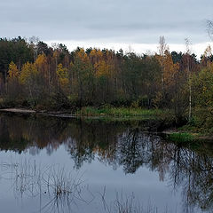 photo "***"