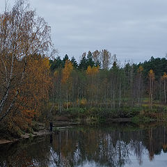 photo "***"