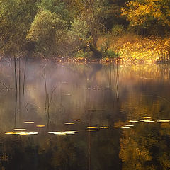 photo "Warm coast"