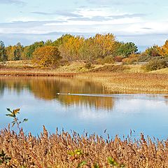 photo "Autumn Ouverture"