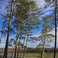 фото "Осенние зарисовки..."