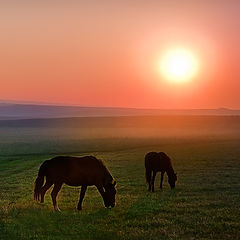 photo "On the way to the mountains"