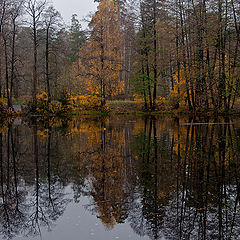 фото "Осень с отражением"