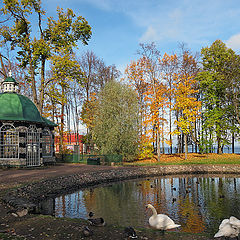 фото "Осенняя идиллия"