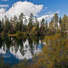 photo "Early fall"