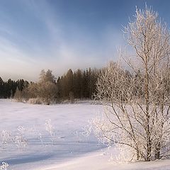 фото "Гой ты, Русь моя родная..."