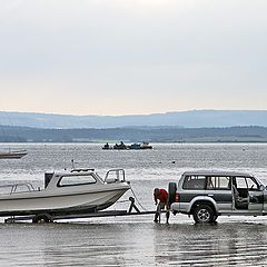 фото "Тяни и толкай."