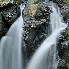 фото "Живая вода"