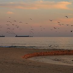 фото "Речка, чайки, море, "параход""