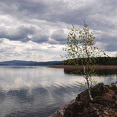 фото "Жизнь на скалах"