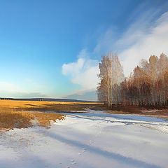 фото "Предзимнее состояние"