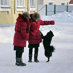 photo "Sisters"