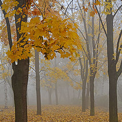 фото "Осенняя пора"