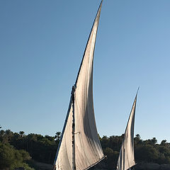 photo "Sailing on the Nile"