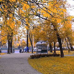 фото "Осень в городе"