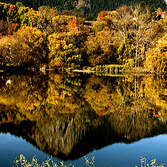 photo "reflection"