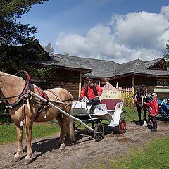 фото "эх, прокачу!))"