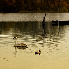 фото "Three Graces"