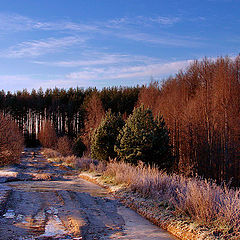 фото "Утром"